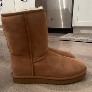 Ugg Classic II Short Boot -Chestnut